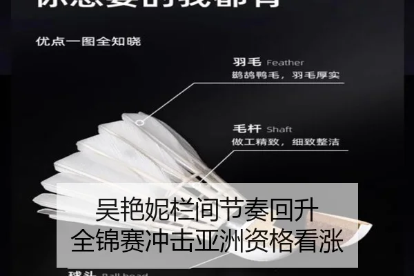 吴艳妮栏间节奏回升 全锦赛冲击亚洲资格看涨